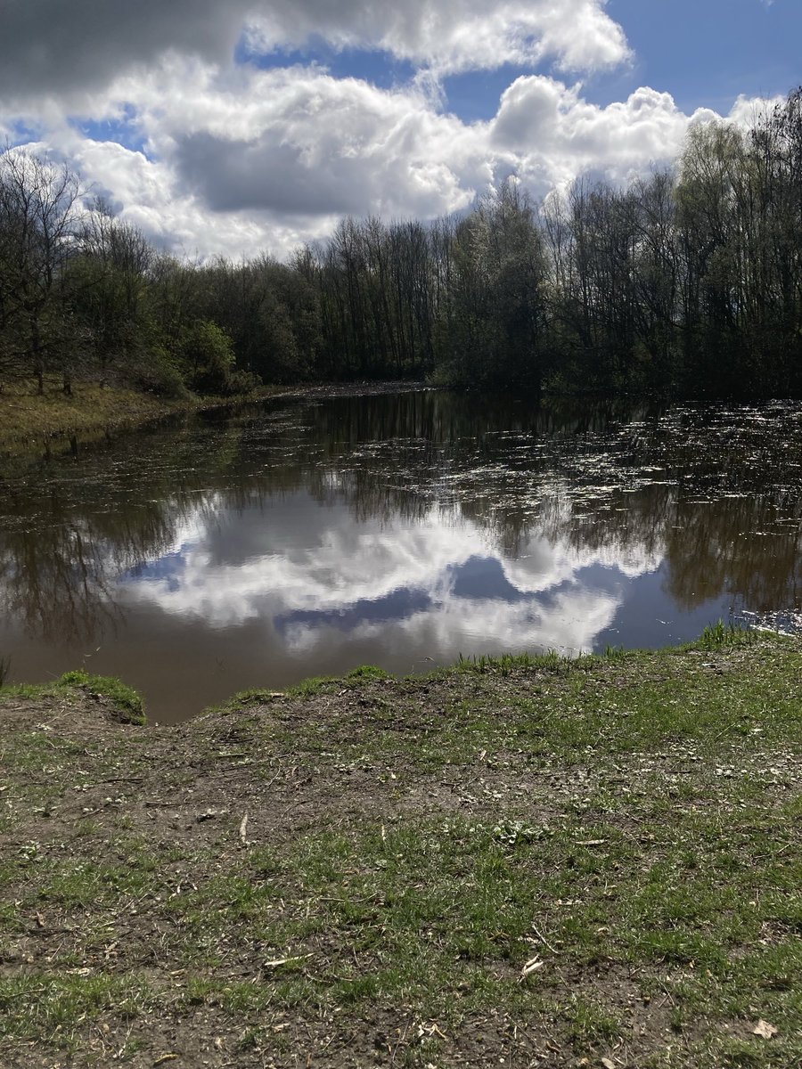 Andrew Bridgen tweet media