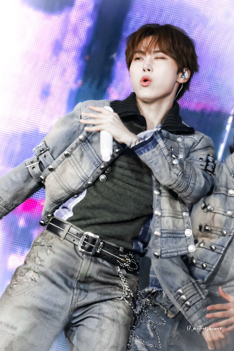 17_meteorshower tweet media