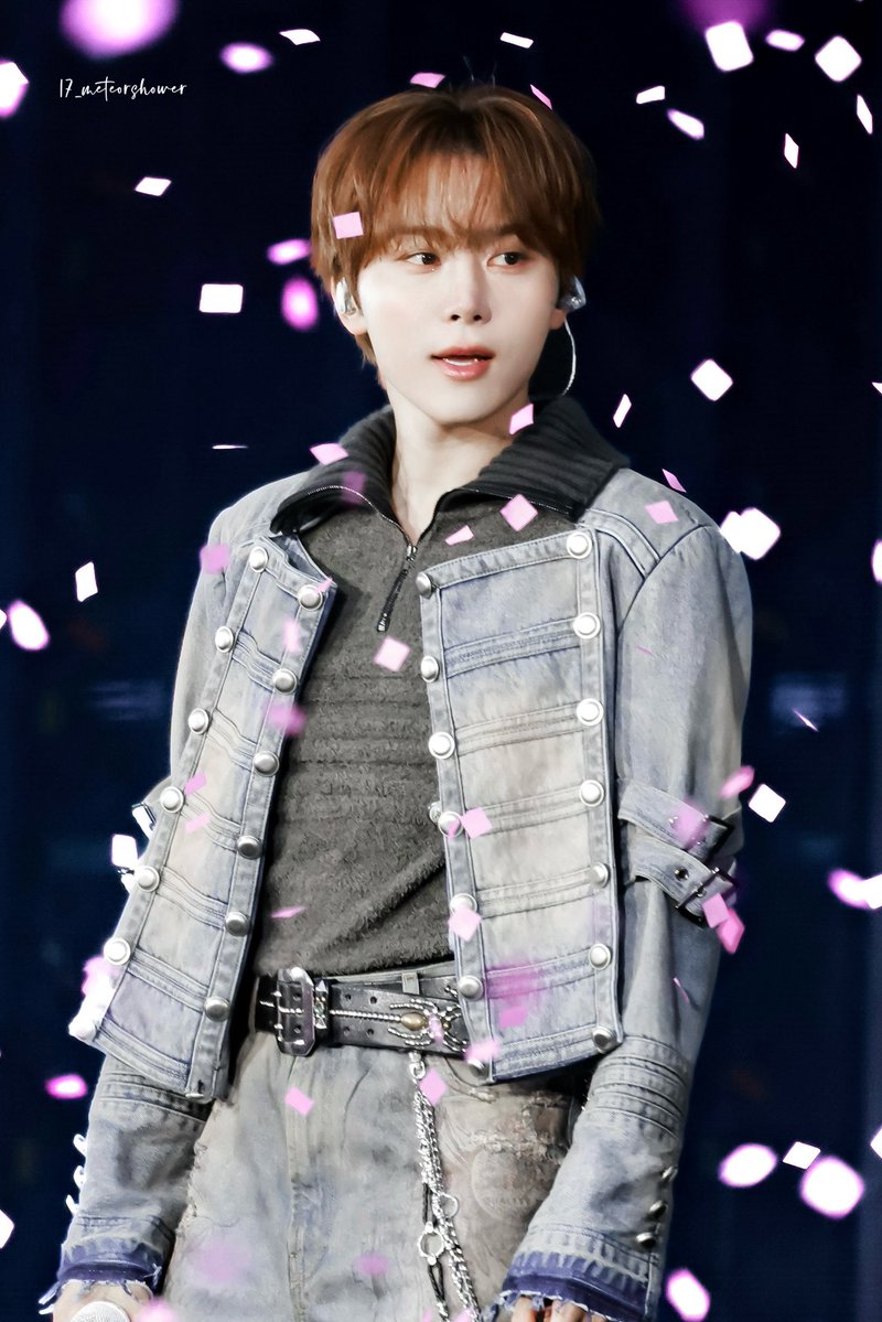 17_meteorshower tweet media