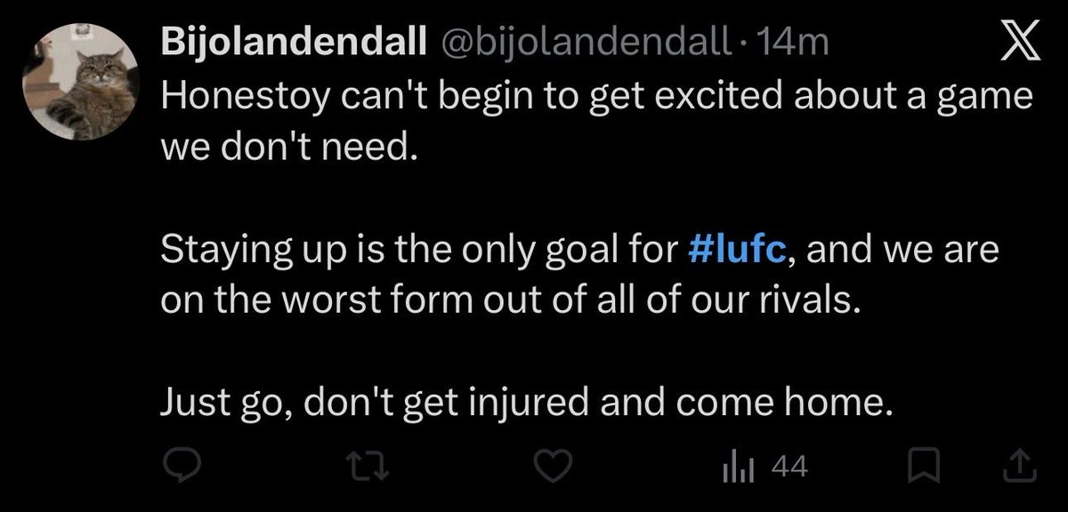 Rio32LUFC tweet media