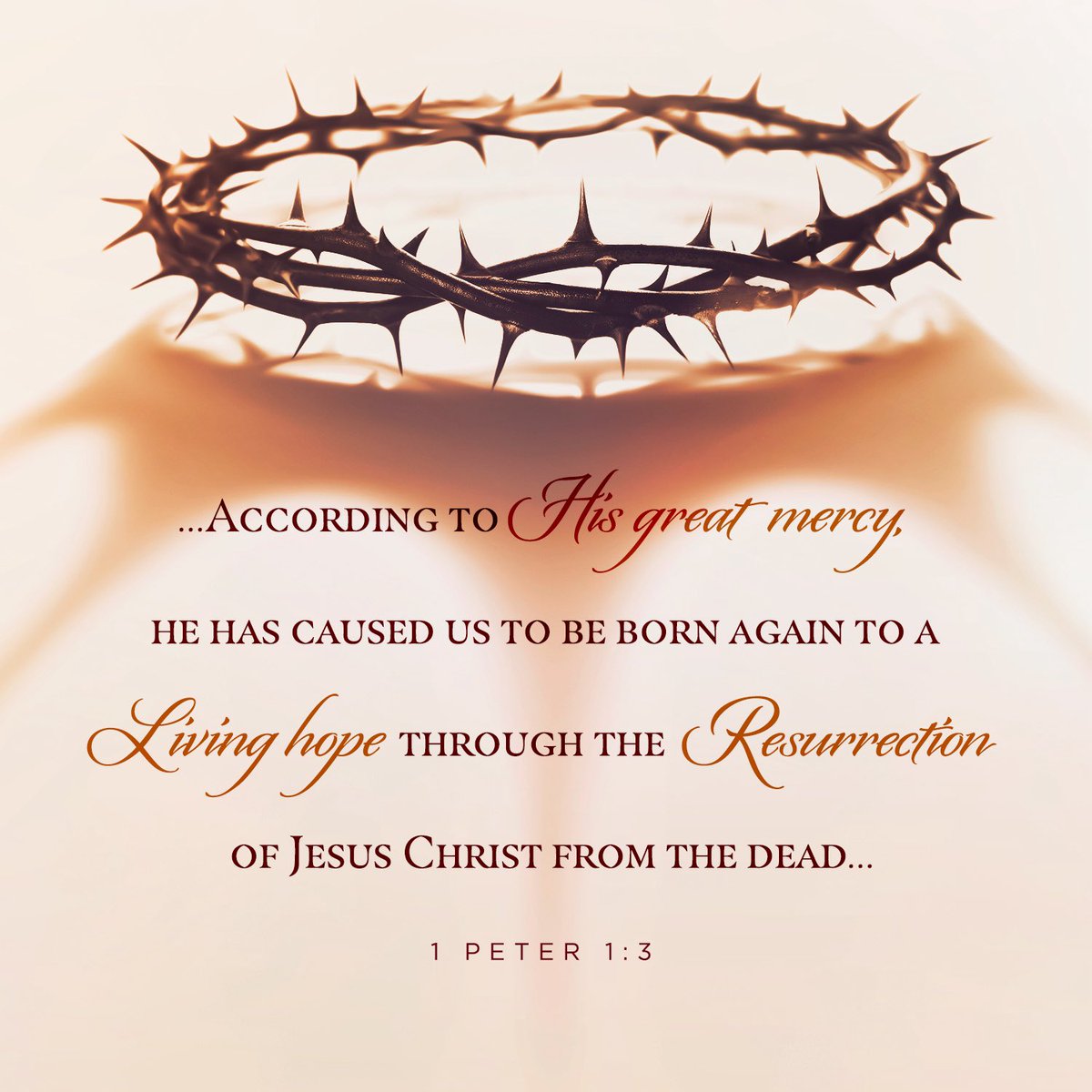 Franklin Graham tweet media