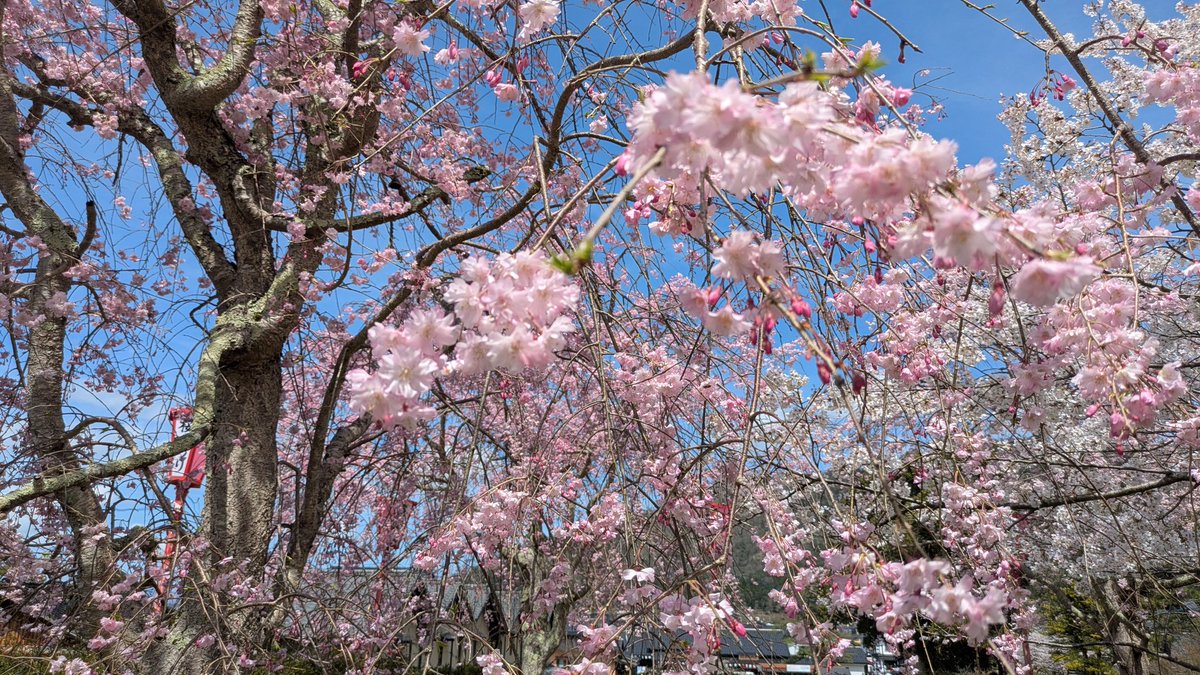 くろの・たいむ@姫路近郊電車区 tweet media