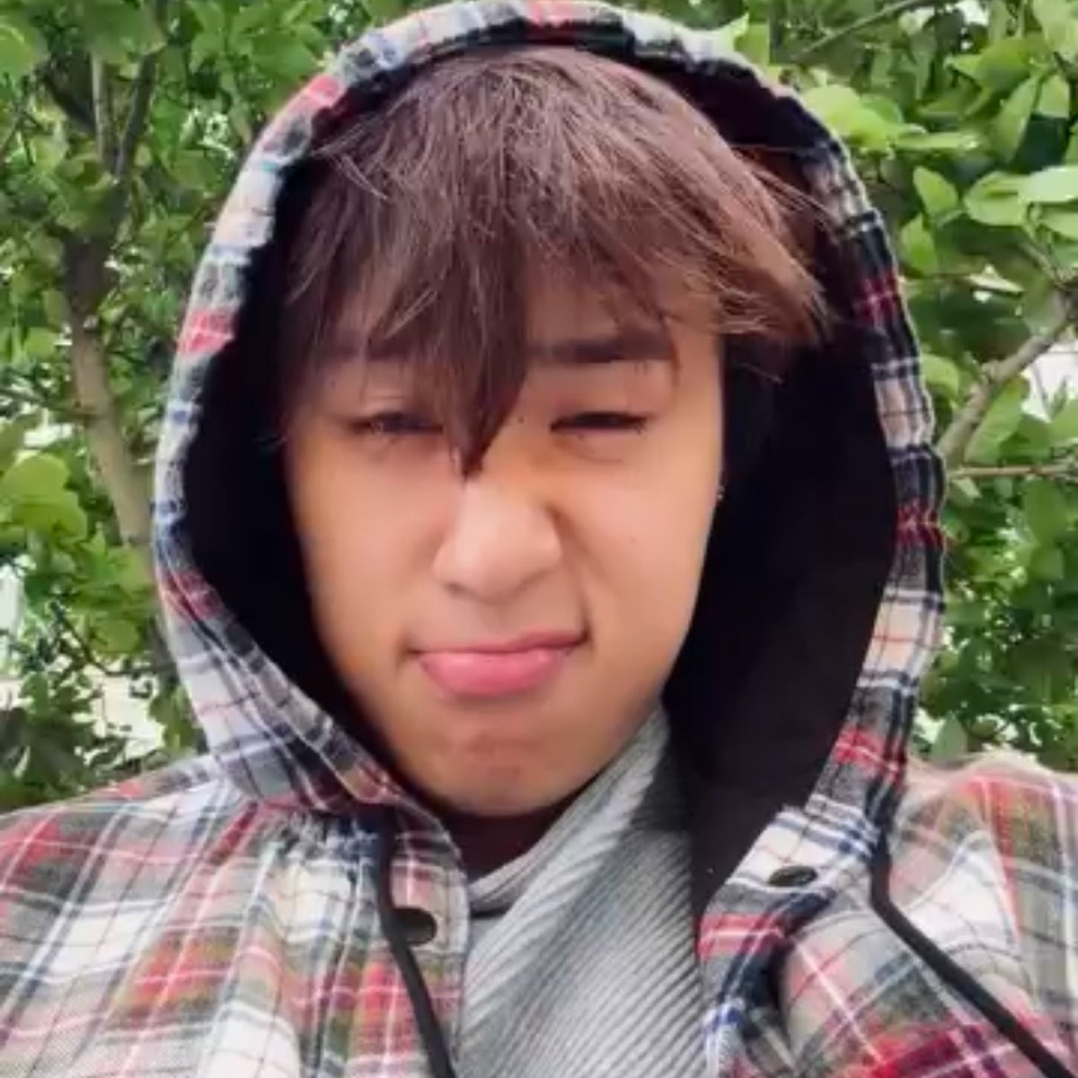 c '• ﻌ •` tweet media