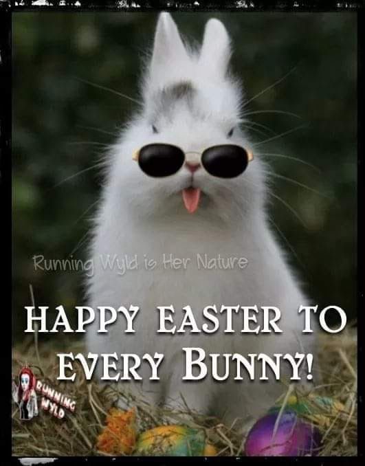 Hippychick tweet media