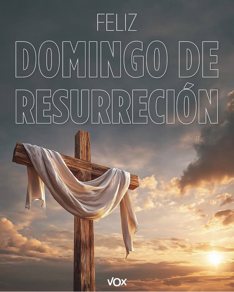 VOX Escorial tweet media