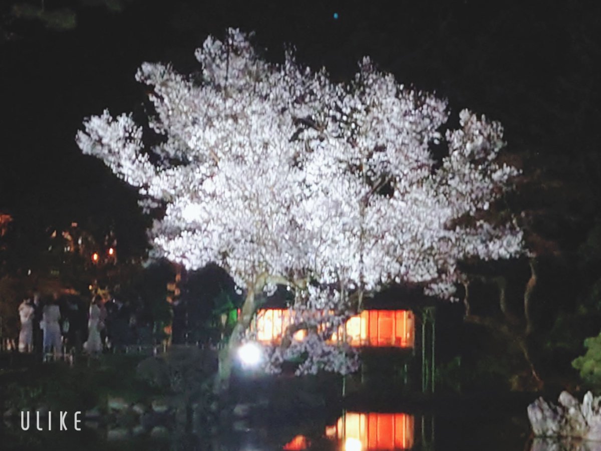 うけけ@ゲー垢☂️⚡ tweet media