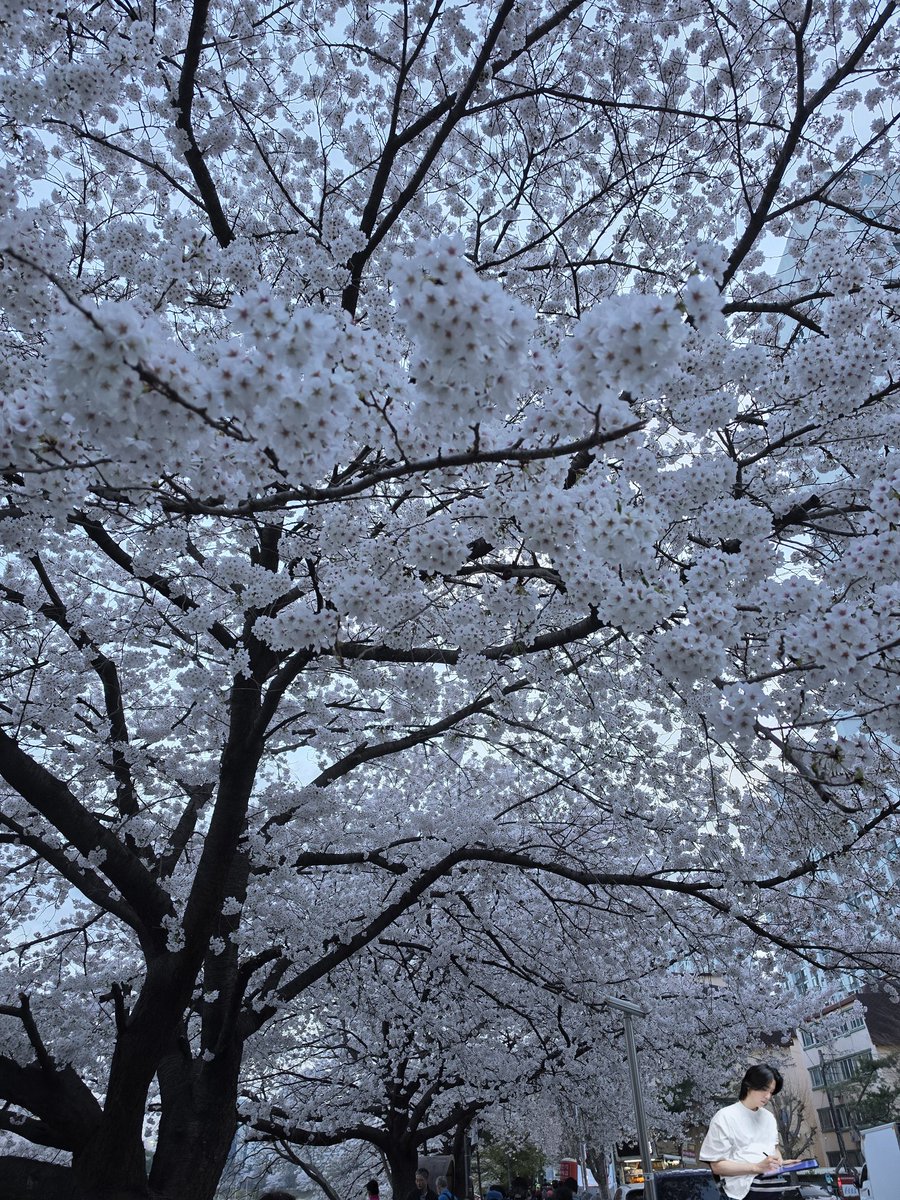 윤기가좋은 남주니장모(탕이마미💙) tweet media