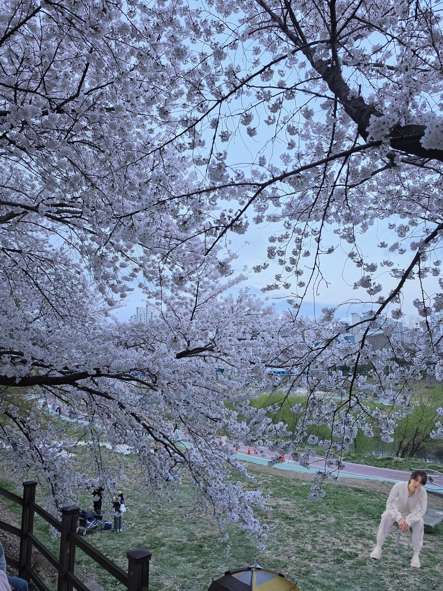 윤기가좋은 남주니장모(탕이마미💙) tweet media