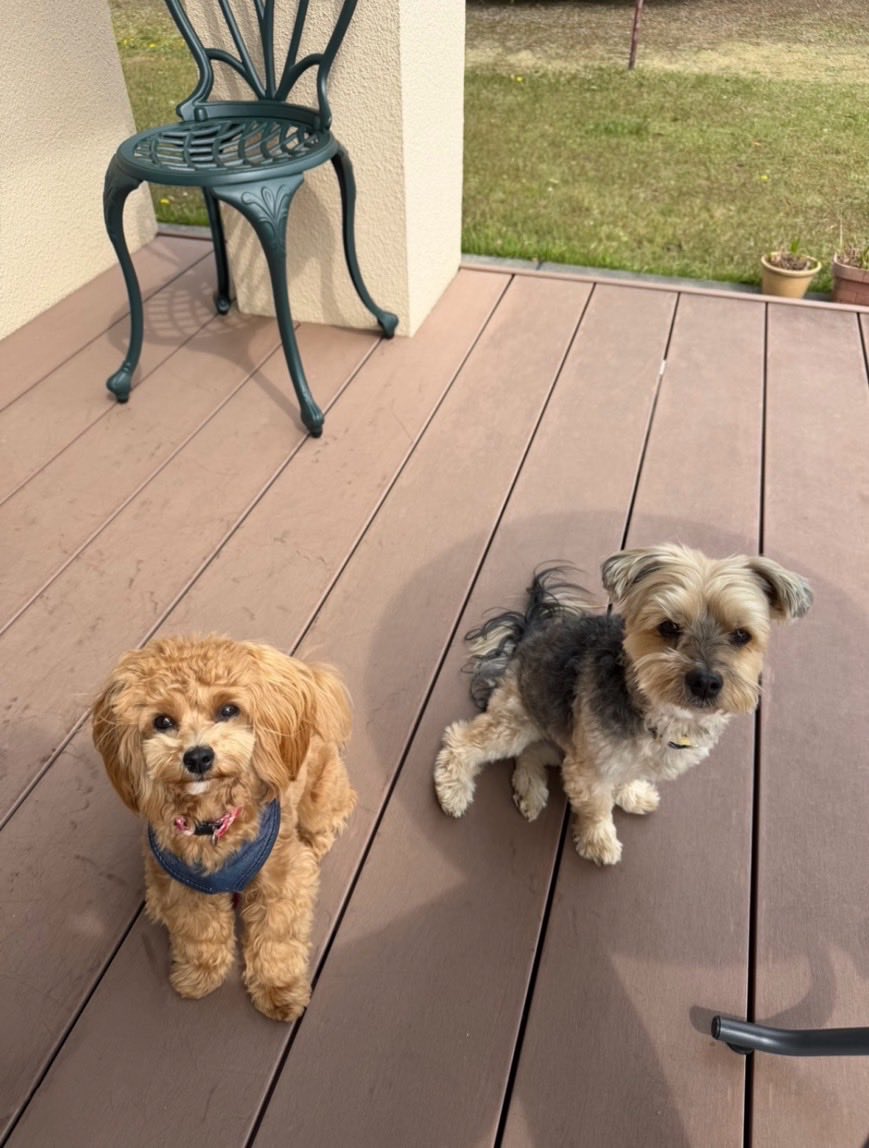 らっちゃんズ tweet media