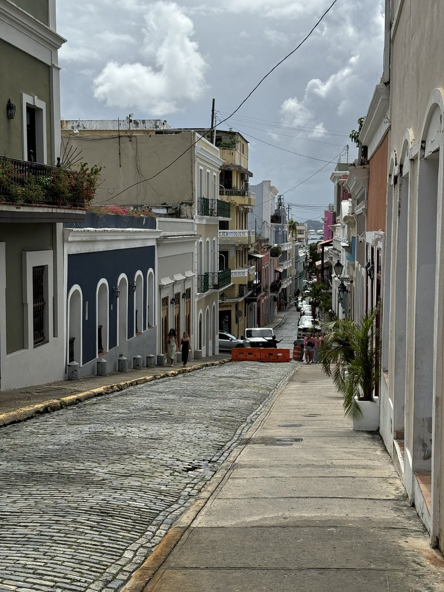 👁️‍🗨️ tweet media