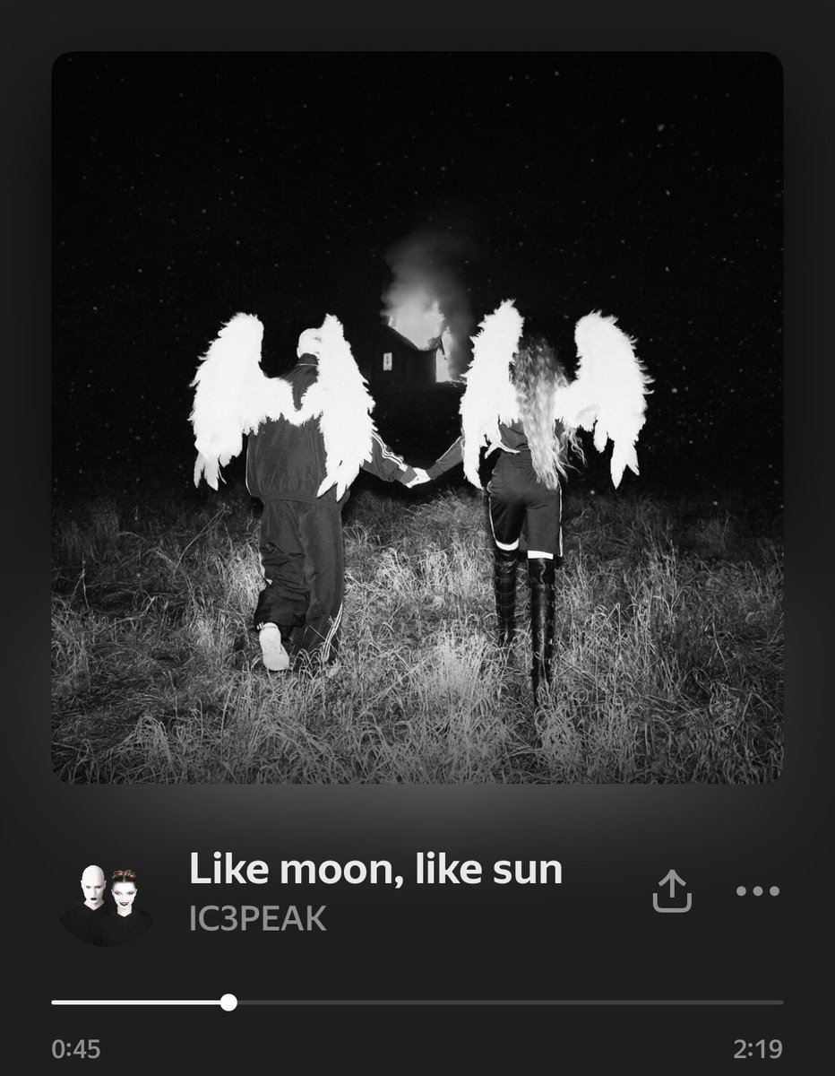 анич tweet media