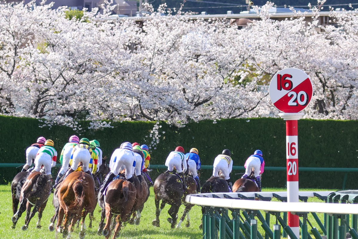 俺ん家゛🍊 tweet media