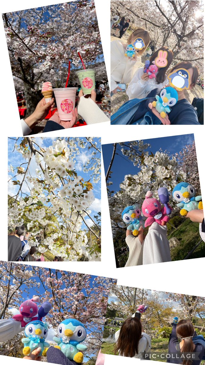 あっちゃま🐧 tweet media