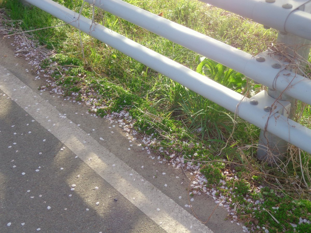 김풀잎 tweet media