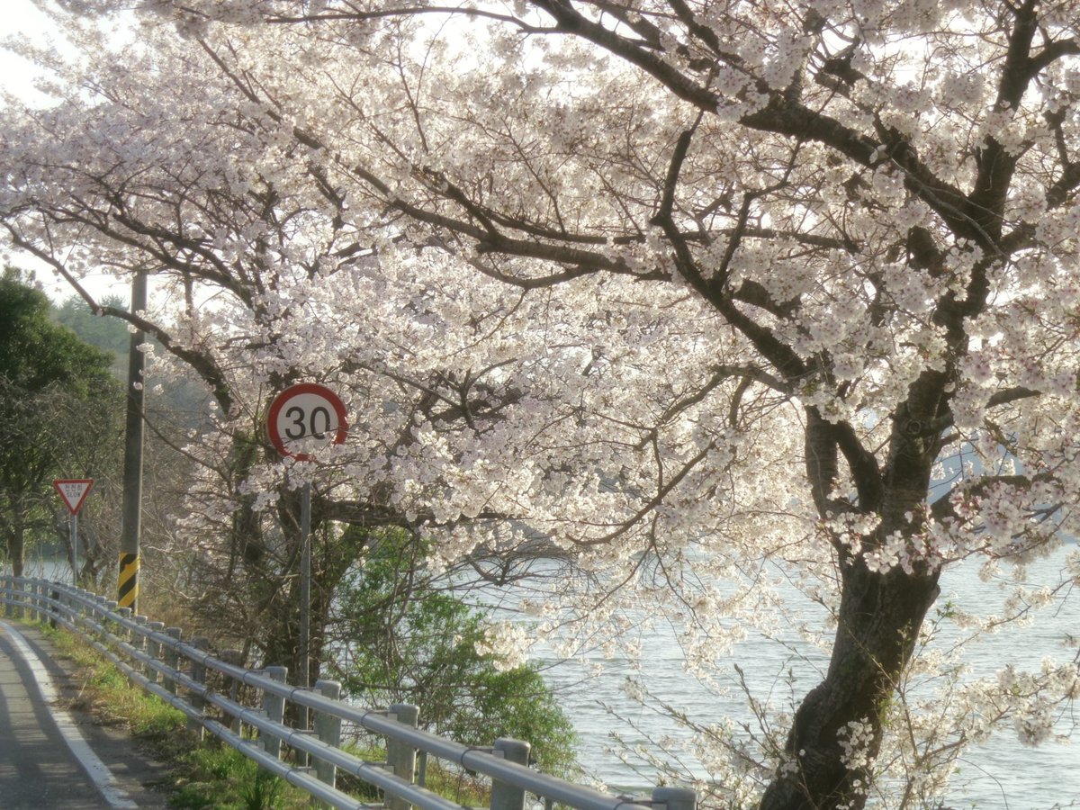 김풀잎 tweet media