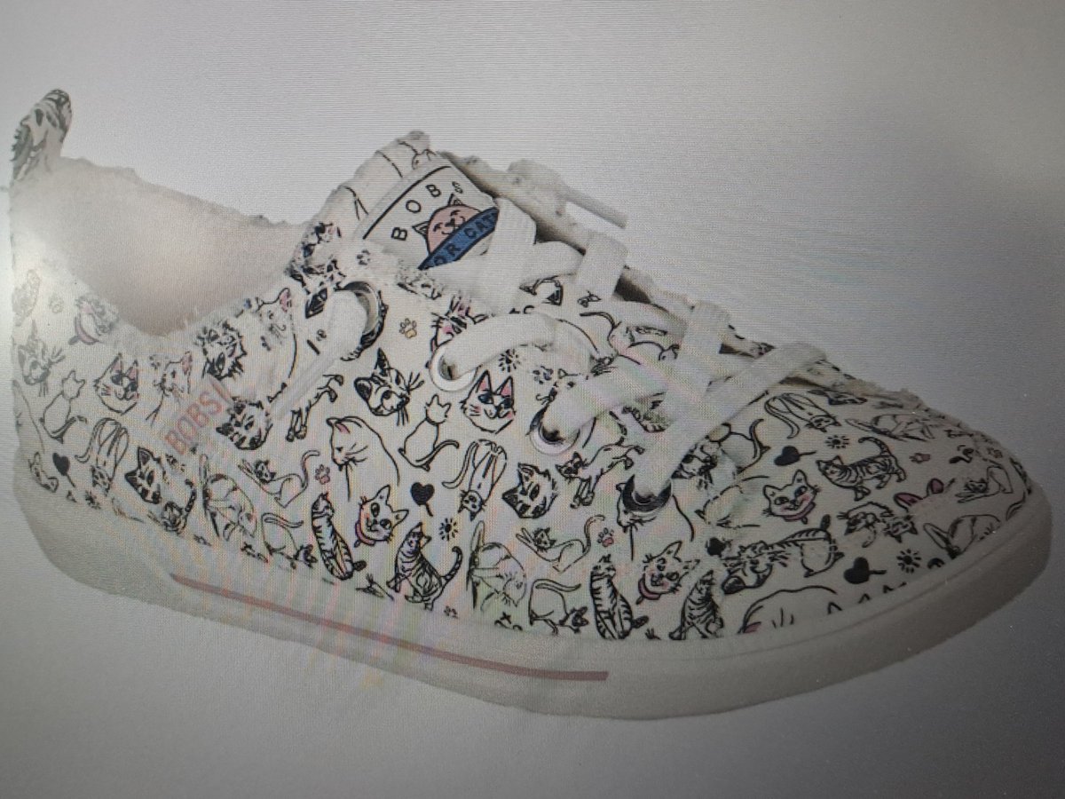 Willeke🐬🌻 tweet media