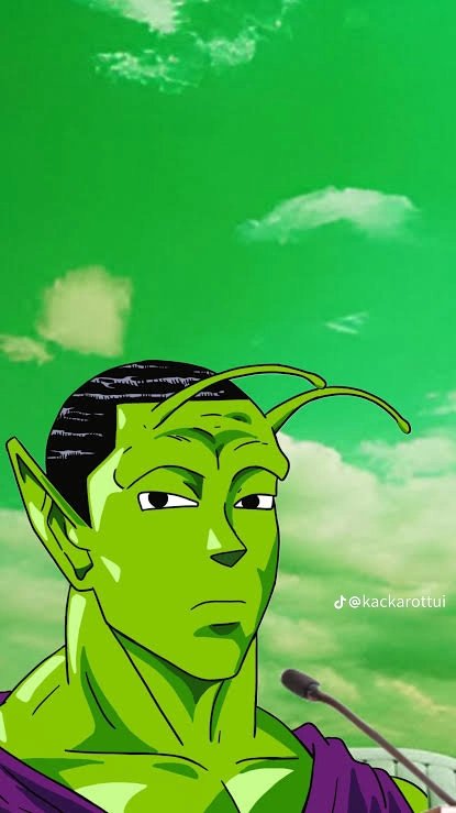 Void Shadic Official tweet media