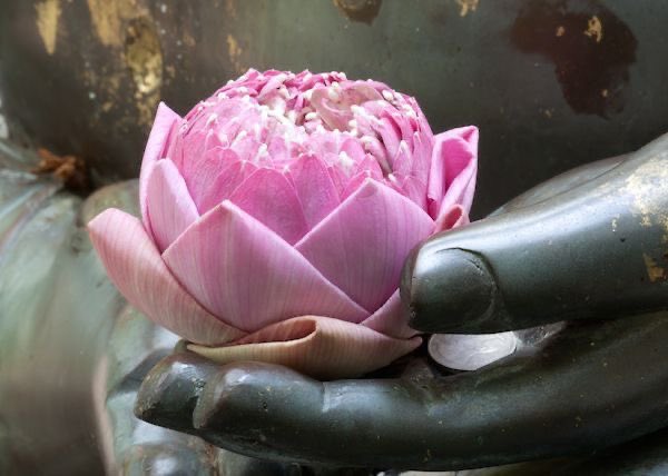 rosie | coaching open tweet media