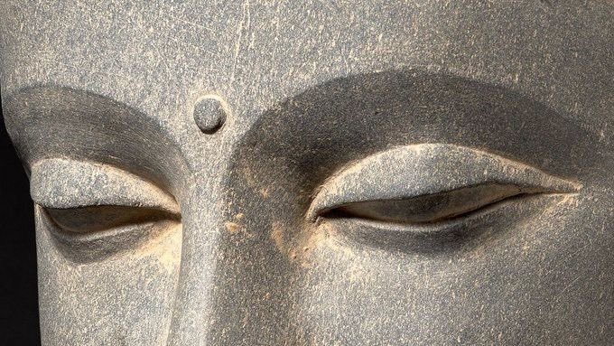 rosie | coaching open tweet media