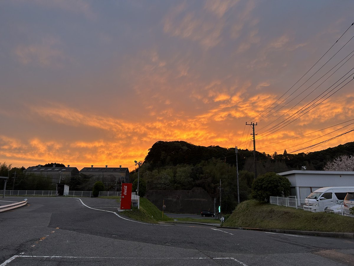 しおん tweet media