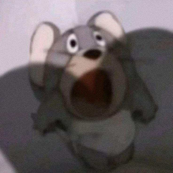 Alisha𓍼ᥫ᭡ tweet media