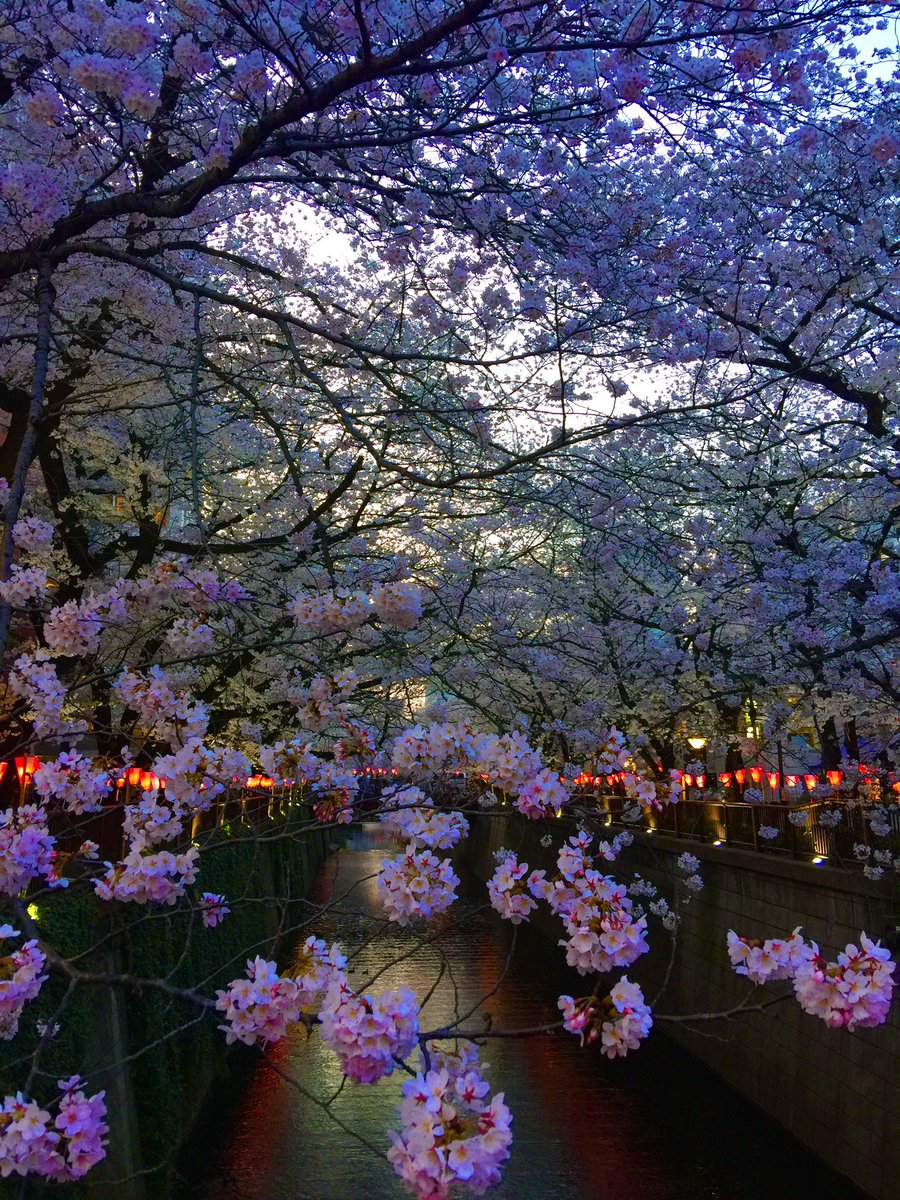 おかざき真里 tweet media