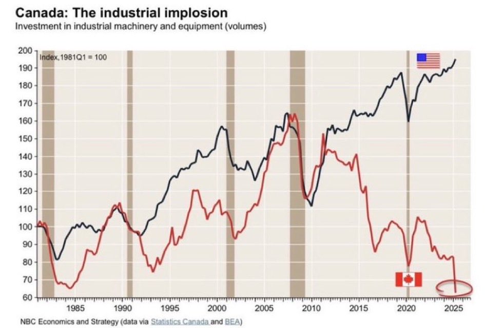 Lionel Talbot 🍏🍎 tweet media