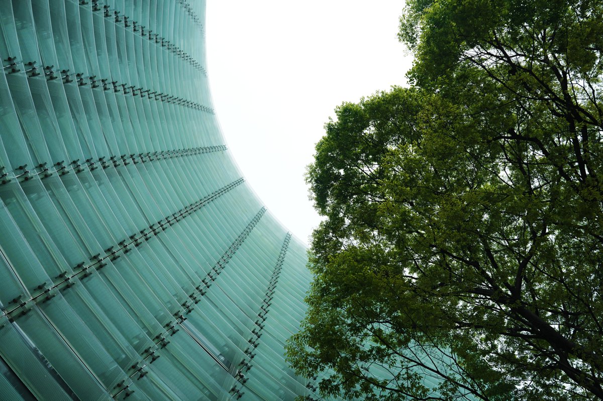 tune_h's tweet image. fpさんぽ
#Sigma
SIGMA fpL + 24-70mm f2.8 dg dn art
4枚目は21:9で^^