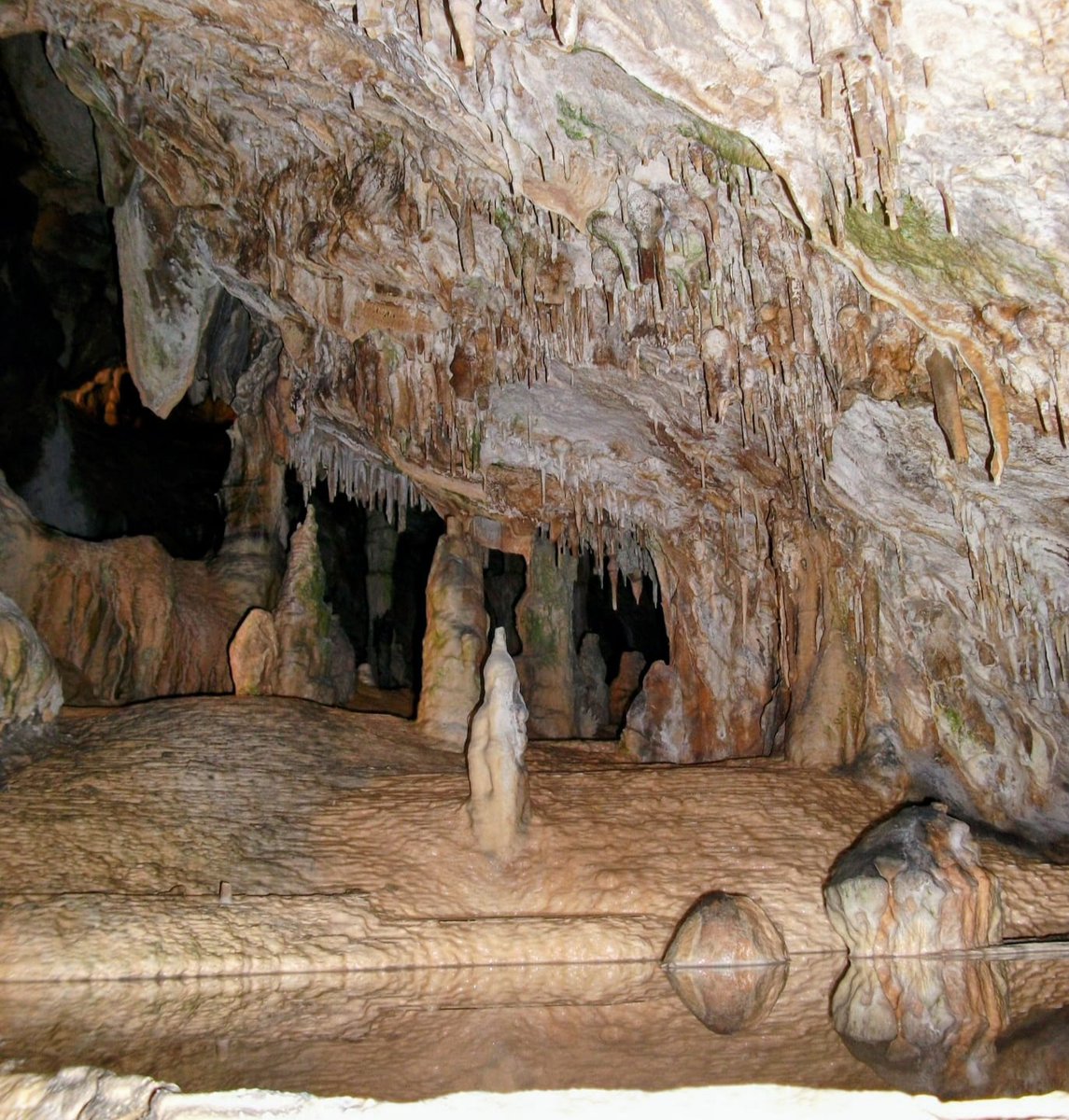 Daily Picture Theme tweet media