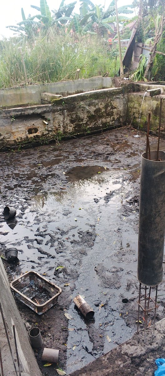 Warga Tipis Tipis tweet media