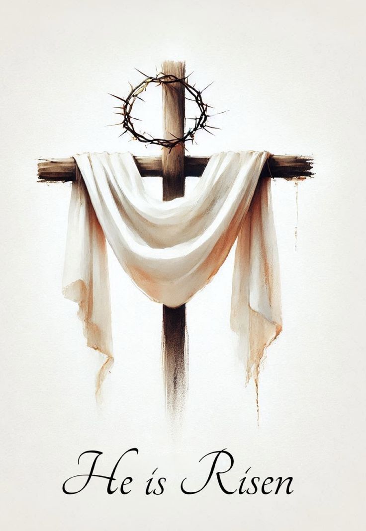 Patrick Hanlon tweet media