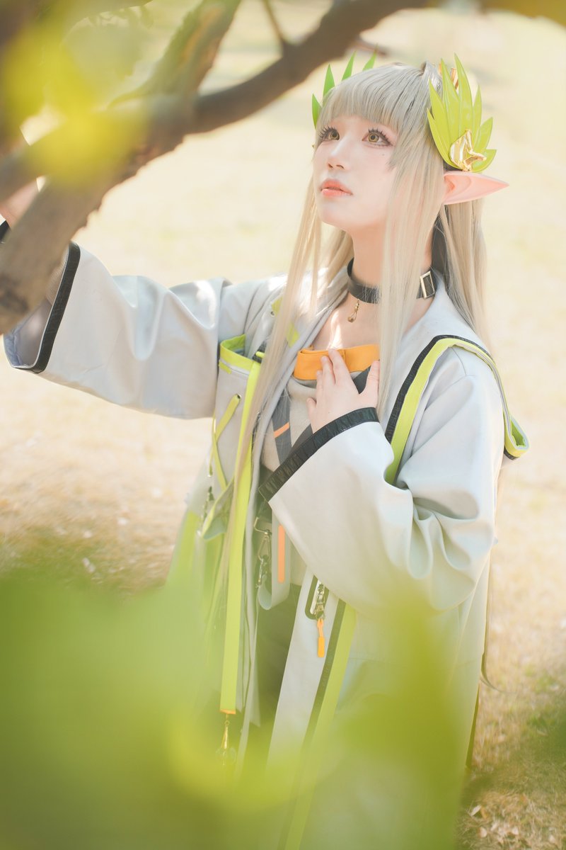 통나무 tweet media