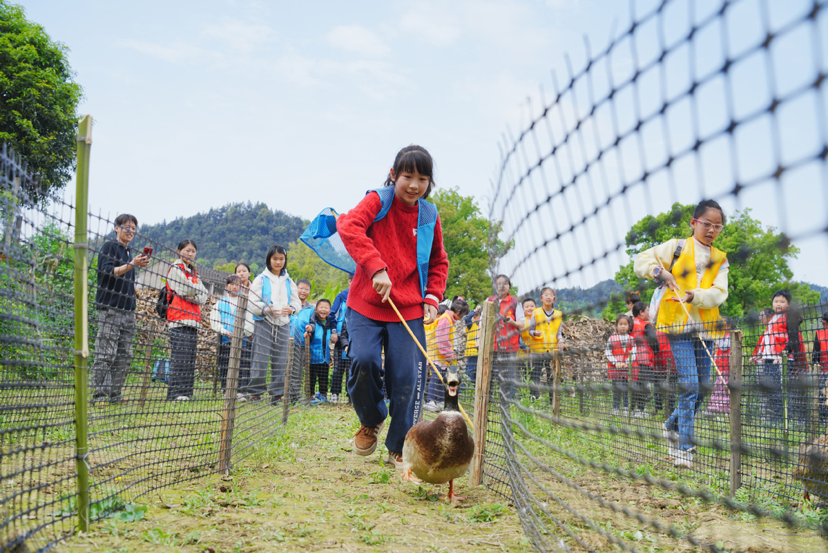 China Daily tweet media