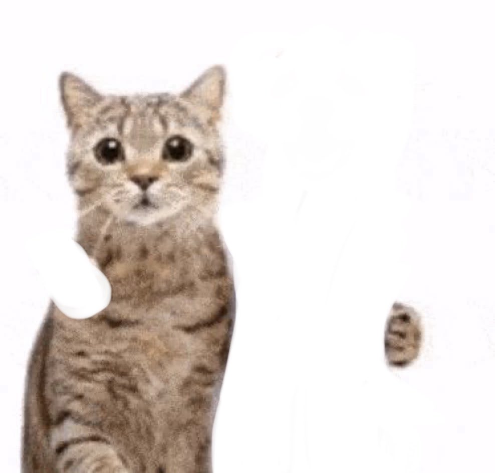 vivian ⊹₊✮⋆ tweet media