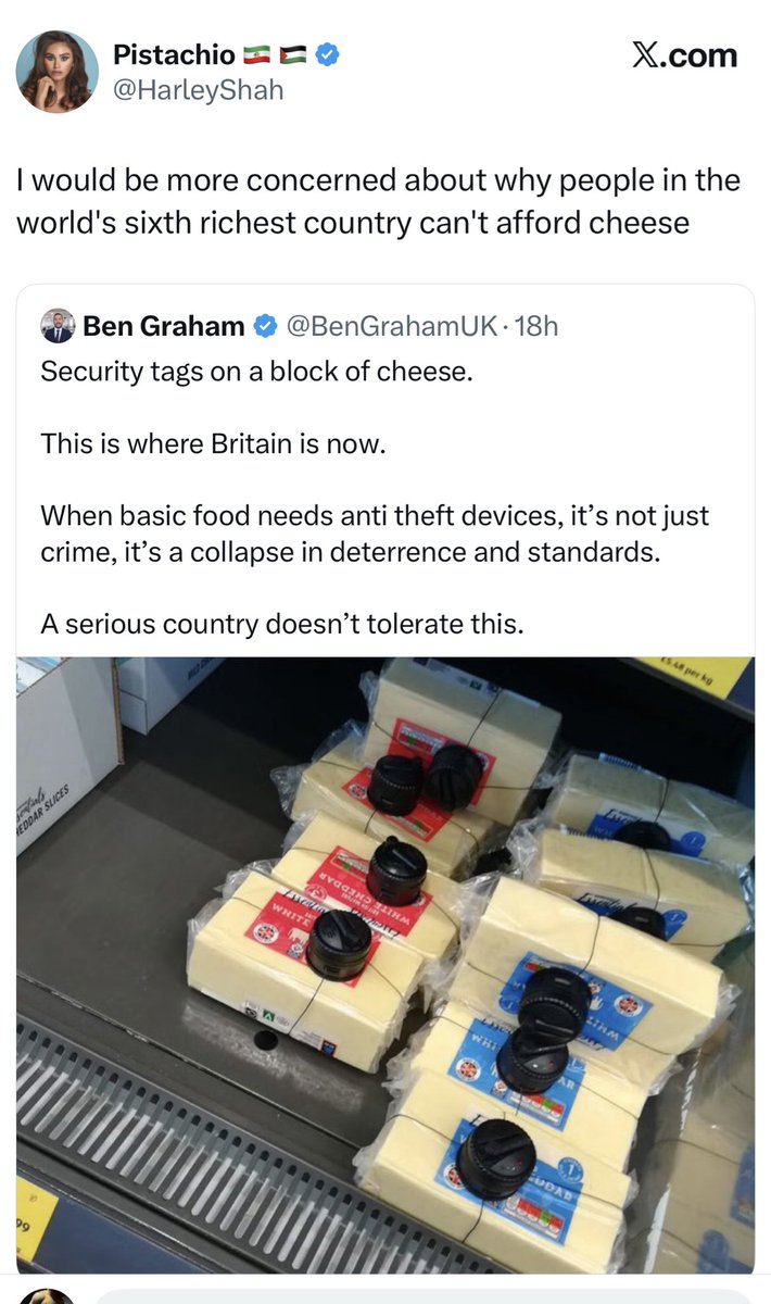 🏛 𝐒𝐭𝐞𝐯𝐞𝐧 🏛 tweet media