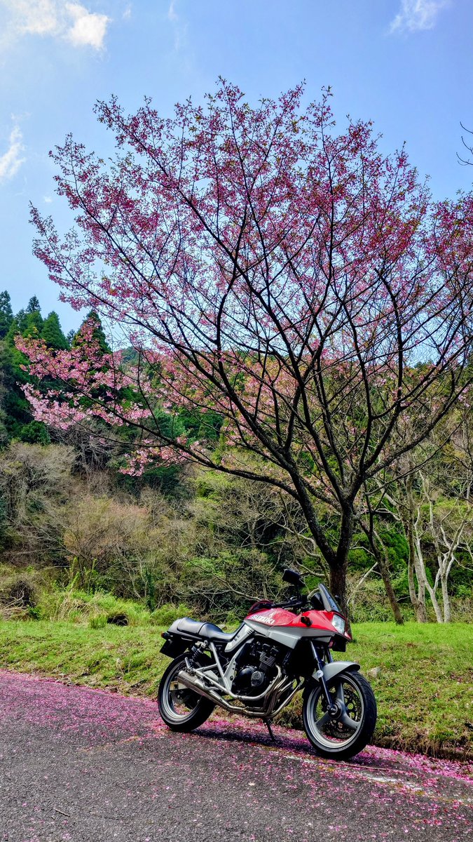 tetsjin1321's tweet photo. 午後散歩
🌸桜舞い散る🌸桜木　花道🌸
#GSX250Sカタナ https://t.co/gi4xVckb9b