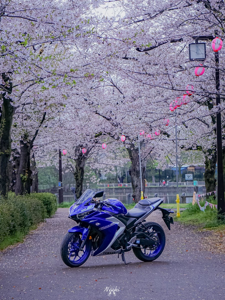 dasumi_nichijyou tweet media