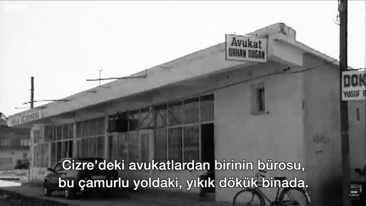 şah turna tweet media