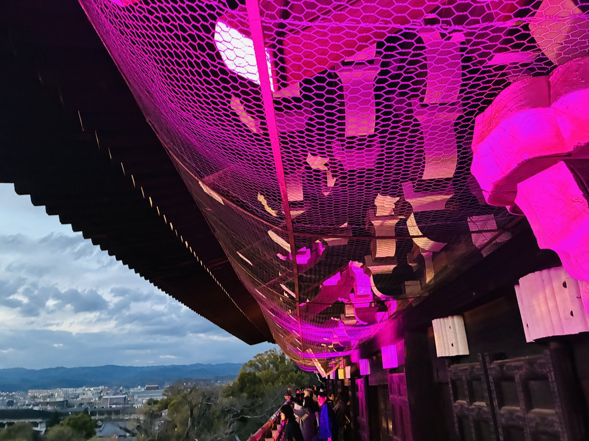 きっしー🌈 tweet media