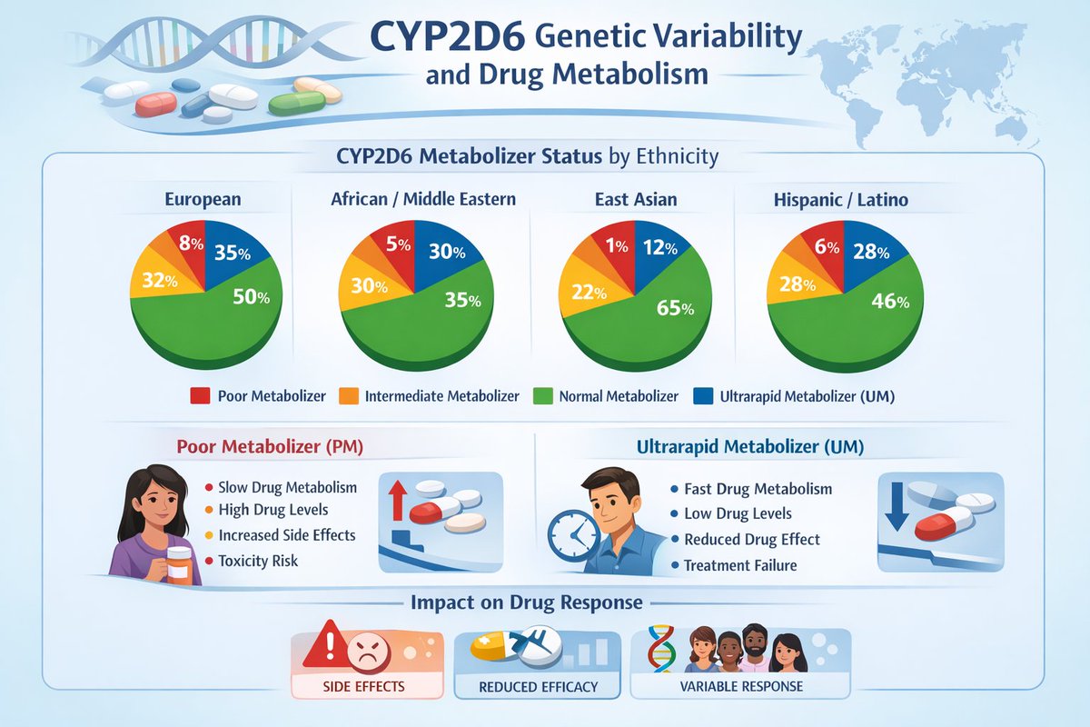 Suhasini_Joshi's tweet photo. Diversity in clinical trials is essential because genetic differences impact drug safety and effectiveness. For example, CYP2D variability among ethnicities influences drug metabolism so a dose that’s fine for one person might not work or could even cause side-effects for another https://t.co/kqtkcCvKCm