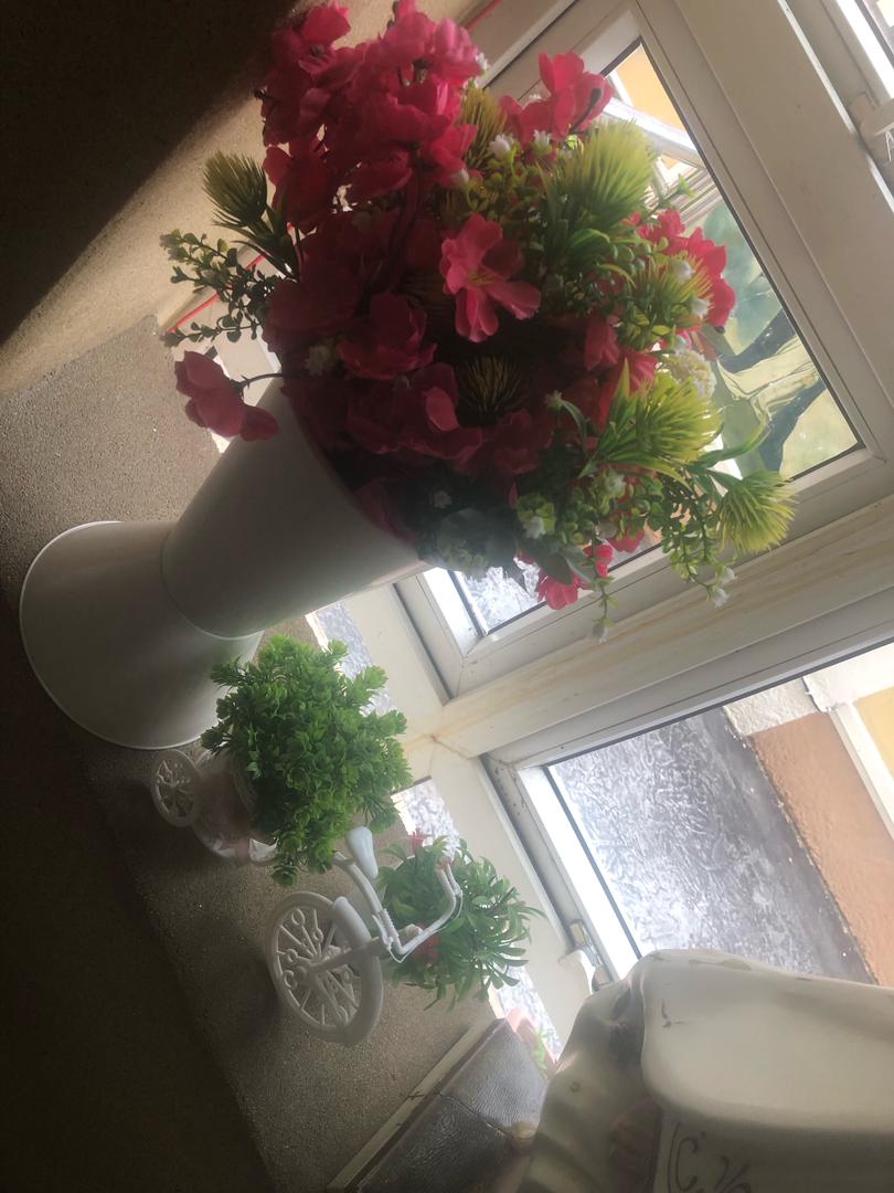 Hyper Ohanz | Developer🖤 tweet media