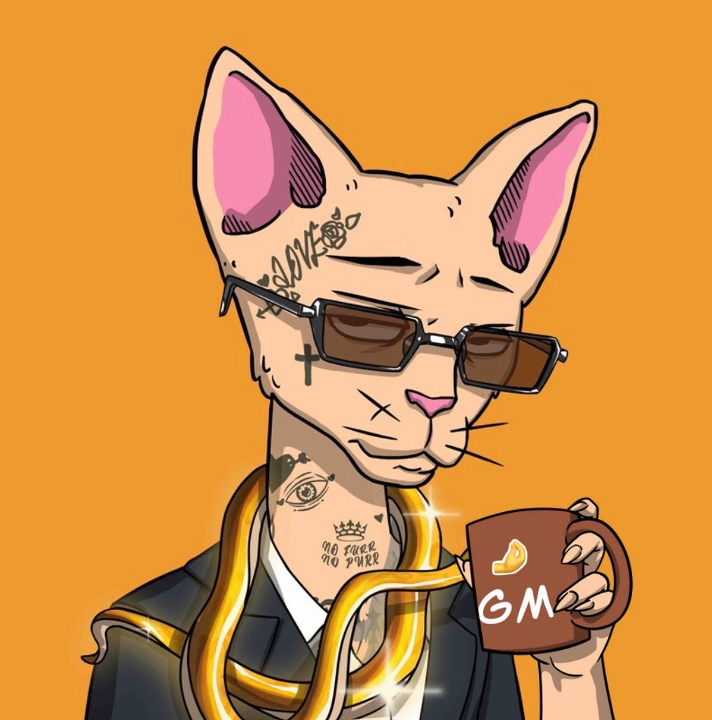 Scrambller tweet media