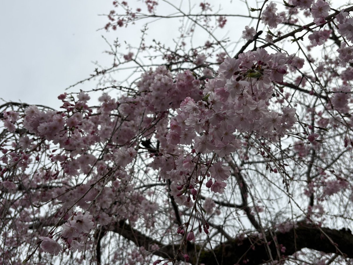 建勲神社さんにお参りに。