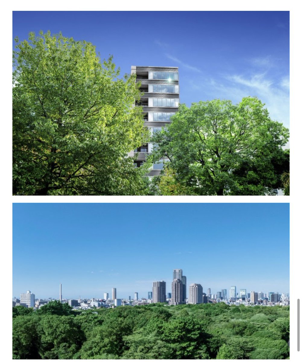 シロくま tweet media