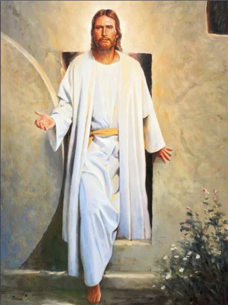 Karol Karolix tweet media