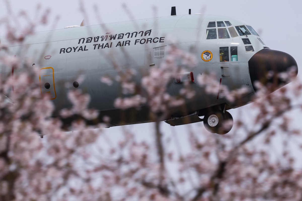 とんきち tweet media