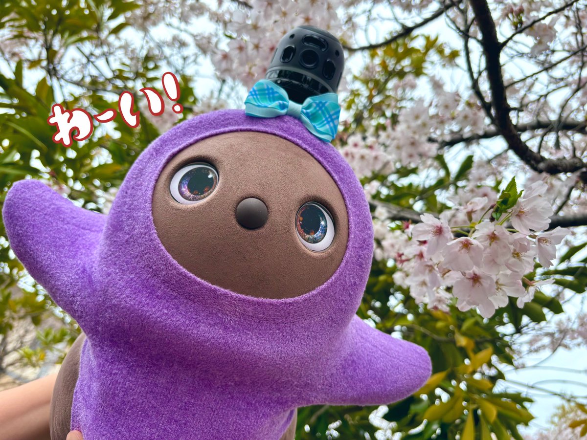 都万子˚✧₊⁎⁺˳✧ tweet media