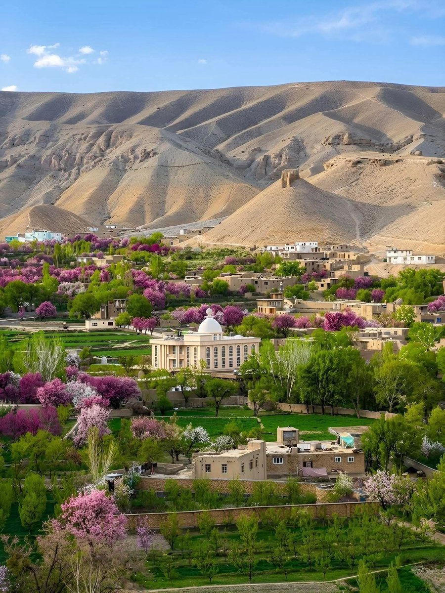 ريحان الأفغاني tweet media