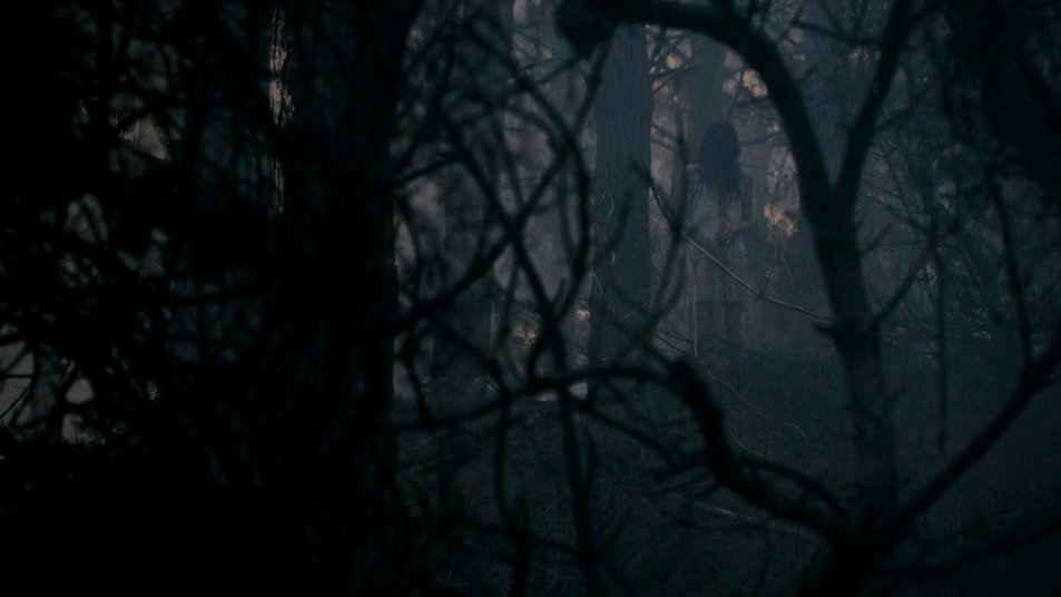 women in horror tweet media