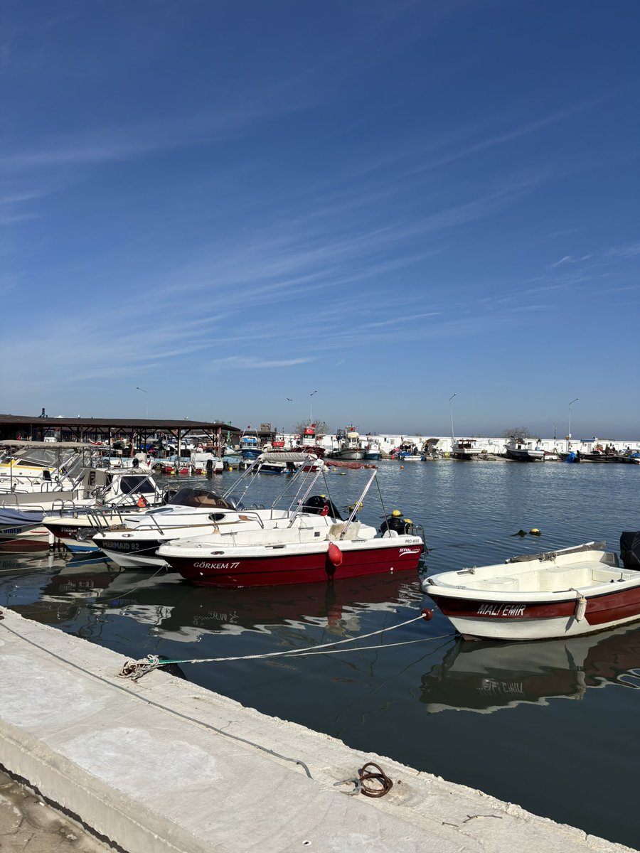 Berivan Ak tweet media